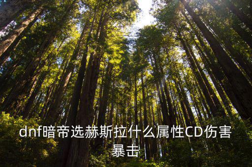 dnf暗帝选赫斯拉什么属性CD伤害暴击