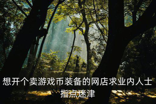 想开个卖游戏币装备的网店求业内人士指点迷津