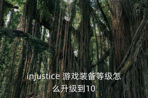 injustice 游戏装备等级怎么升级到10