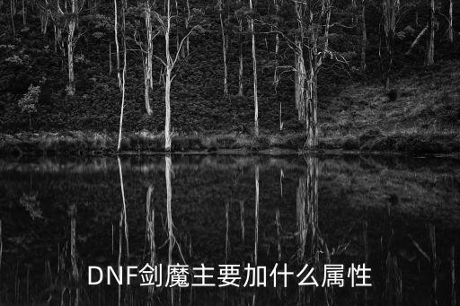 DNF剑魔主要加什么属性