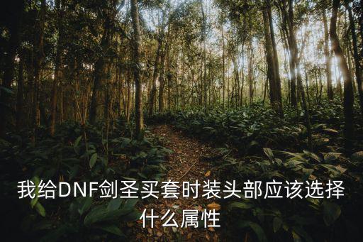 我给DNF剑圣买套时装头部应该选择什么属性