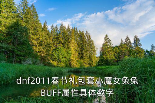 dnf2011春节礼包套小魔女兔兔BUFF属性具体数字