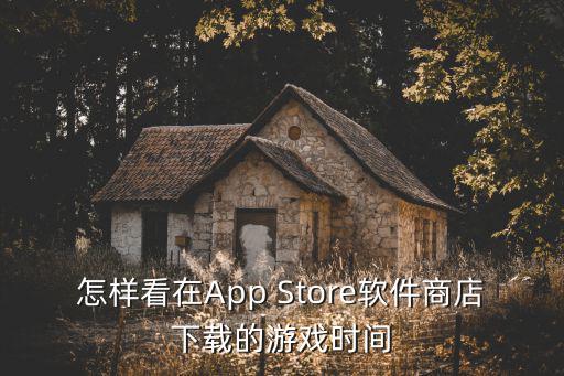 怎样看在App Store软件商店下载的游戏时间