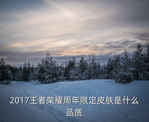 2017王者荣耀周年限定皮肤是什么品质