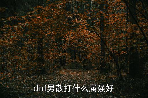 dnf男散打什么属强好