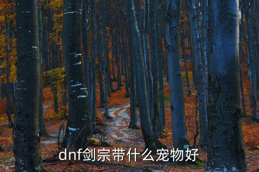 dnf剑宗带什么宠物好