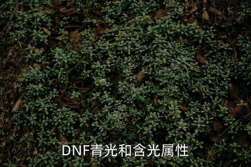 DNF青光和含光属性