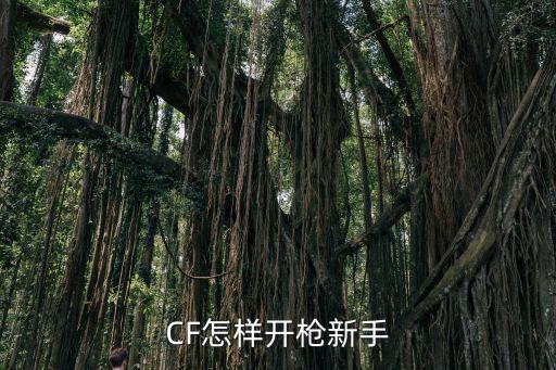 CF怎样开枪新手