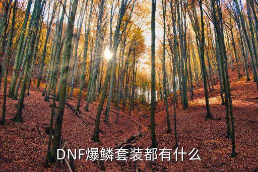 DNF爆鳞套装都有什么