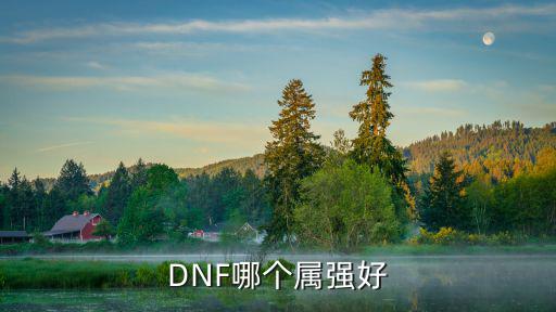 dnf属强选什么属性，DNF哪个属强好