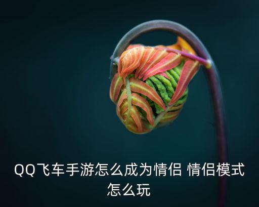 QQ飞车手游怎么成为情侣 情侣模式怎么玩