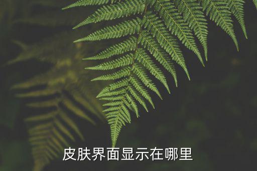 皮肤界面显示在哪里