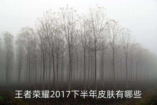 王者荣耀2017下半年皮肤有哪些