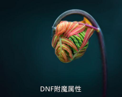 dnf特工附魔什么属性，DNF附魔属性