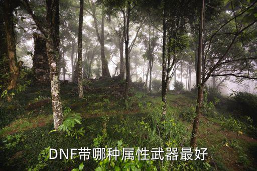 DNF带哪种属性武器最好