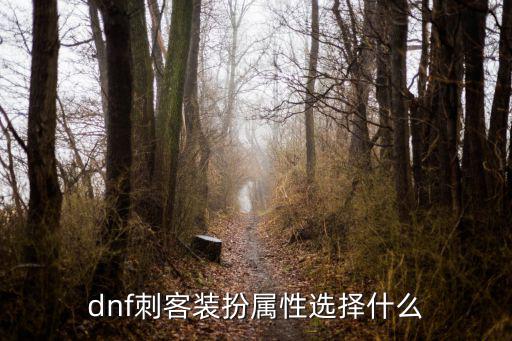 dnf刺客装扮属性选择什么