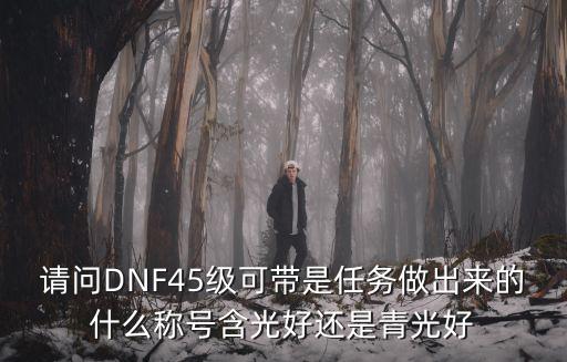 请问DNF45级可带是任务做出来的什么称号含光好还是青光好