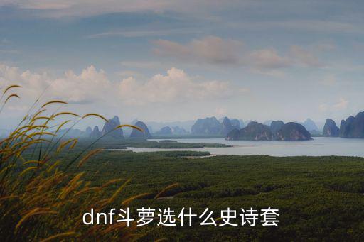 dnf斗萝选什么史诗套