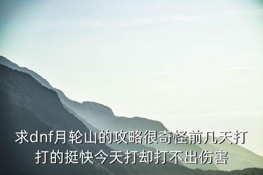 求dnf月轮山的攻略很奇怪前几天打打的挺快今天打却打不出伤害