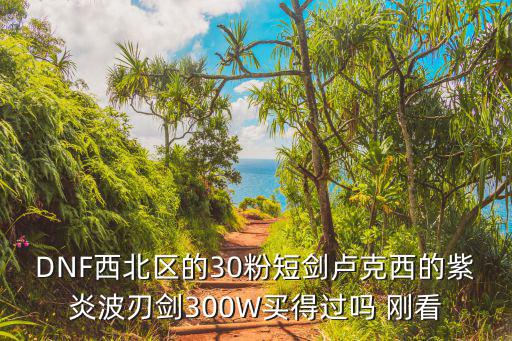 DNF西北区的30粉短剑卢克西的紫炎波刃剑300W买得过吗 刚看