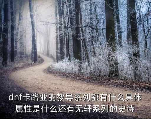 dnf卡路亚的教导系列都有什么具体属性是什么还有无轩系列的史诗