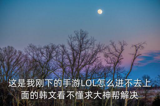 这是我刚下的手游LOL怎么进不去上面的韩文看不懂求大神帮解决