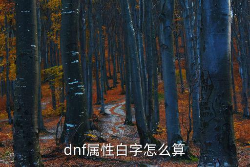 dnf属性白字怎么算