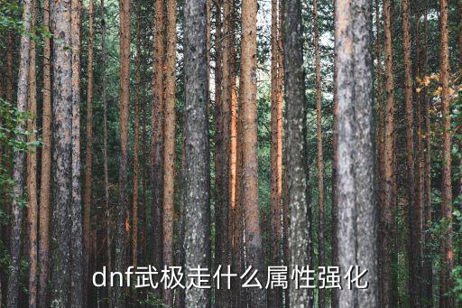 dnf武极走什么属性强化