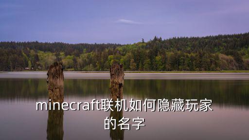 minecraft联机如何隐藏玩家的名字