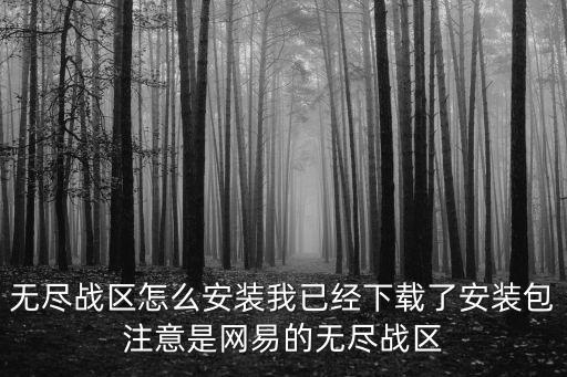 无尽战区怎么安装我已经下载了安装包注意是网易的无尽战区