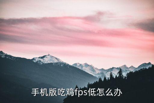 手机版吃鸡fps低怎么办