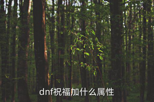 dnf祝福加什么属性