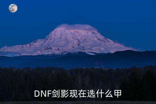 DNF剑影现在选什么甲