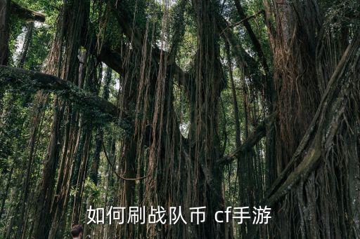 如何刷战队币 cf手游