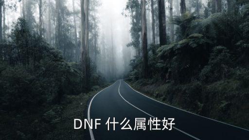 dnf100适合什么属性，dnf绝望100层什么属性攻击最好打