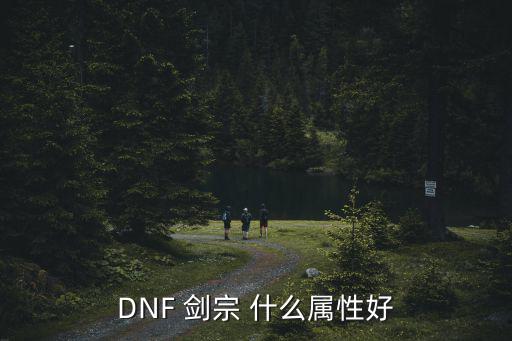 dnf剑宗应该打什么属性，dnf剑宗用什么属性