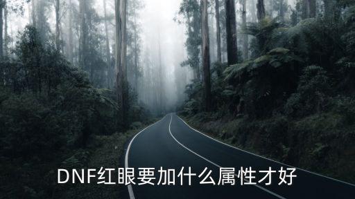 DNF红眼要加什么属性才好