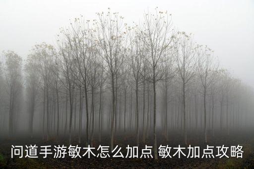 问道手游敏木怎么加点 敏木加点攻略