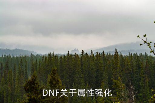 DNF关于属性强化