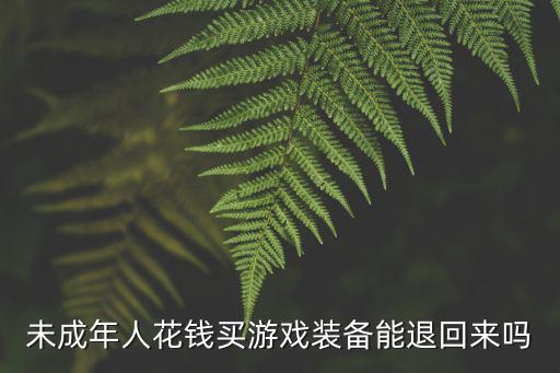 未成年人花钱买游戏装备能退回来吗