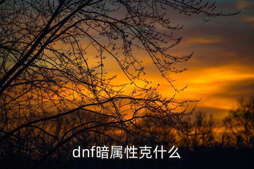 dnf暗属性克什么