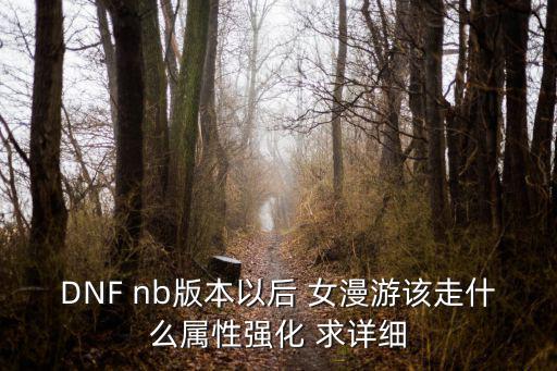 DNF nb版本以后 女漫游该走什么属性强化 求详细