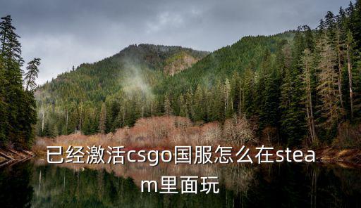 手游steam怎么玩csgo，怎么在steam上打开csgo国服