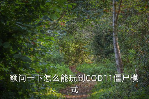 额问一下怎么能玩到COD11僵尸模式