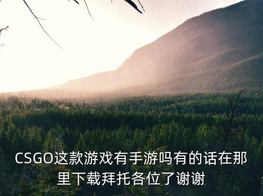 CSGO这款游戏有手游吗有的话在那里下载拜托各位了谢谢