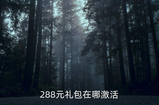 288元礼包在哪激活