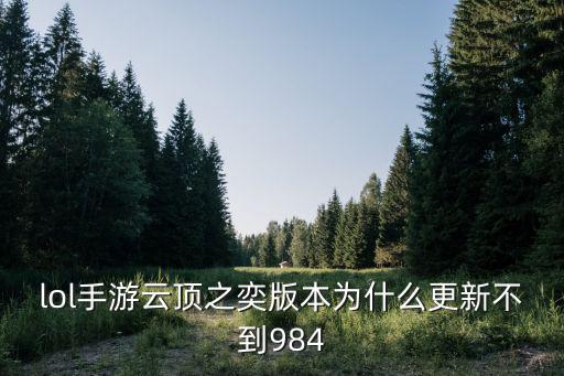 lol手游云顶之奕版本为什么更新不到984