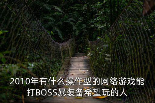 2010年有什么操作型的网络游戏能打BOSS暴装备希望玩的人