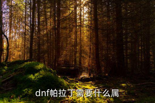 dnf帕拉丁需要什么属