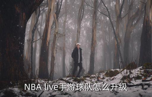 NBA live手游球队怎么升级